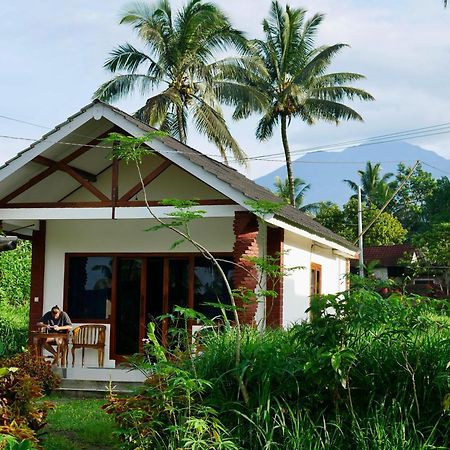 Rice Field Inn - Lombok Tetebatu Eksteriør bilde