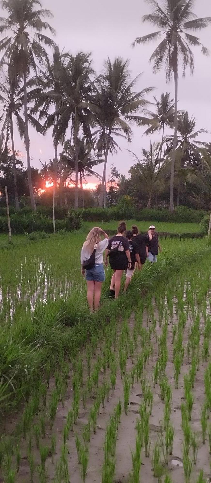 Rice Field Inn - Lombok Tetebatu Eksteriør bilde