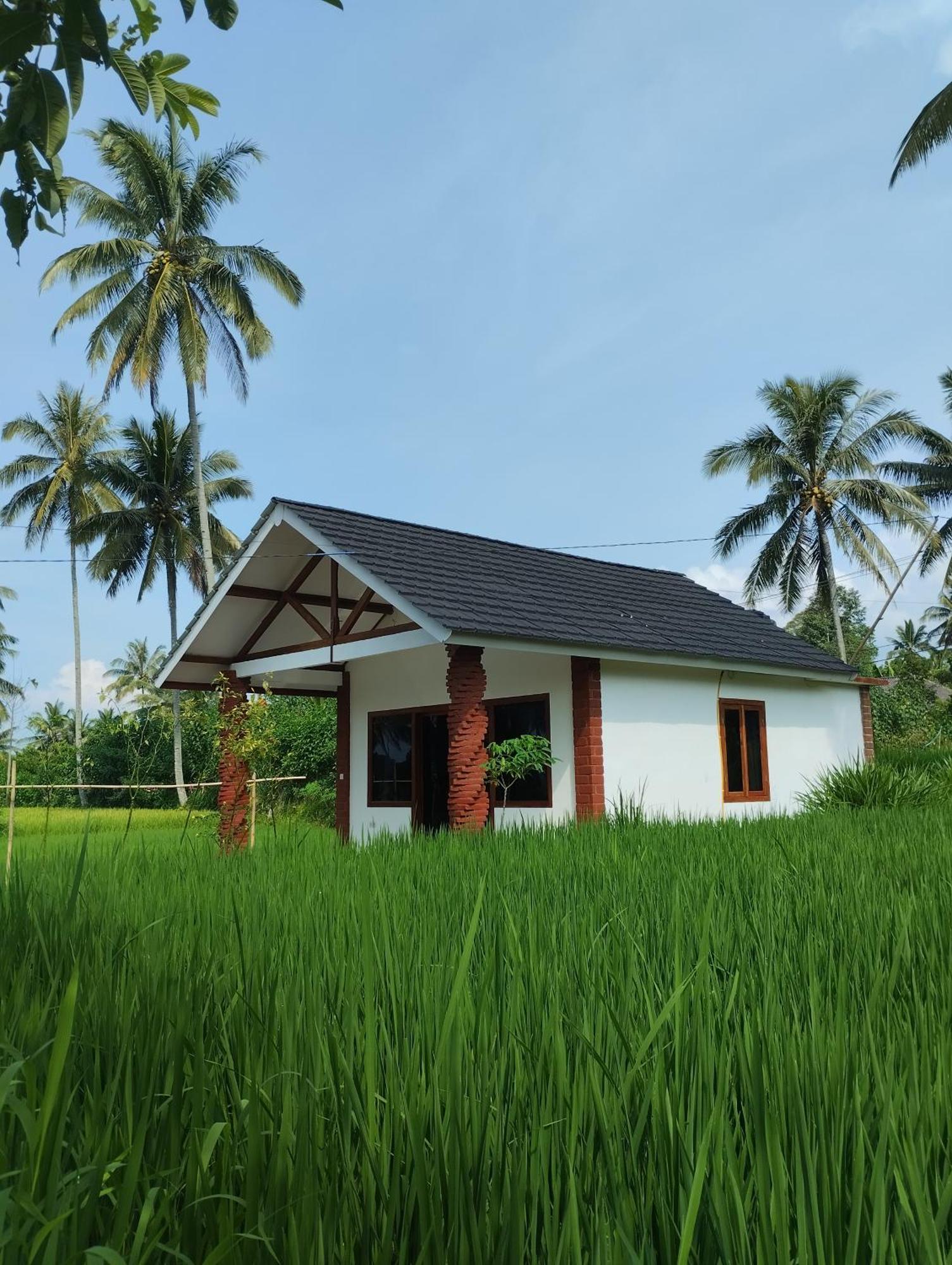 Rice Field Inn - Lombok Tetebatu Rom bilde