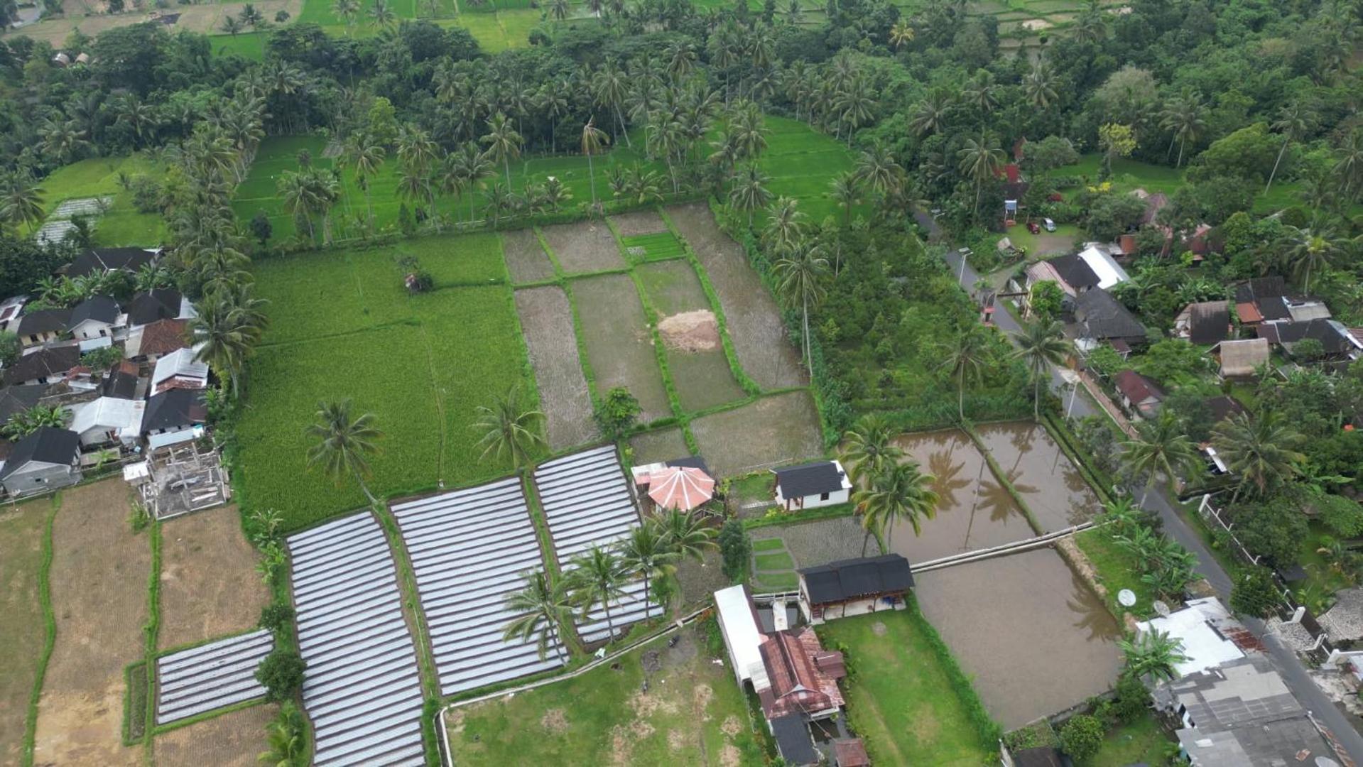 Rice Field Inn - Lombok Tetebatu Eksteriør bilde