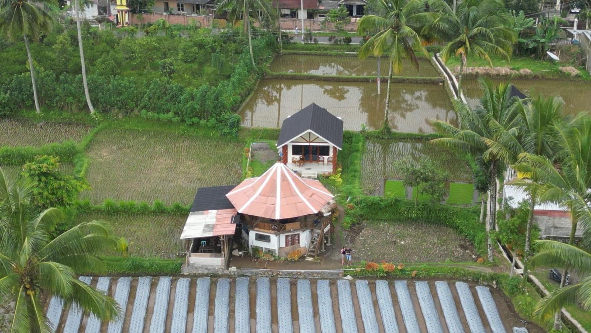 Rice Field Inn - Lombok Tetebatu Eksteriør bilde