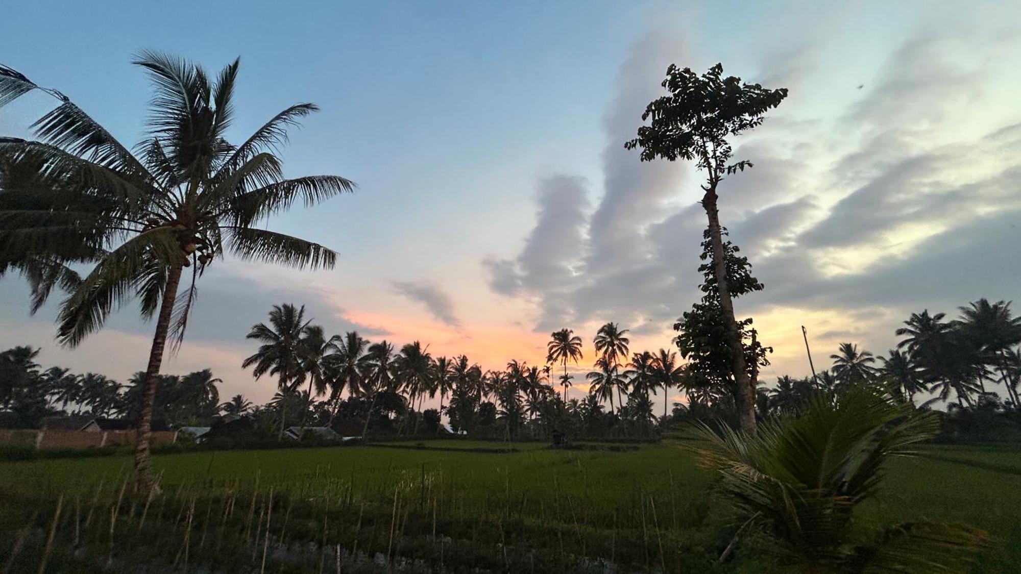 Rice Field Inn - Lombok Tetebatu Eksteriør bilde